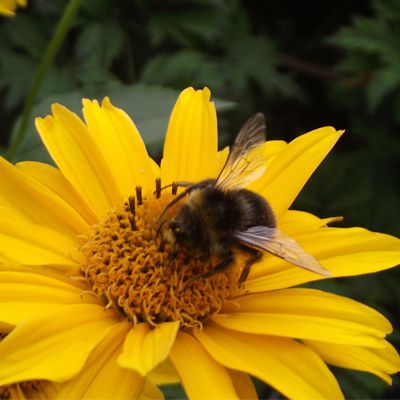 Aktiver Klimaschutz Aktiver Klimaschutz